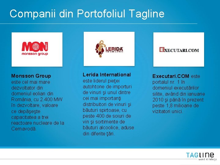 Companii din Portofoliul Tagline Monsson Group este cel mai mare dezvoltator din domeniul eolian