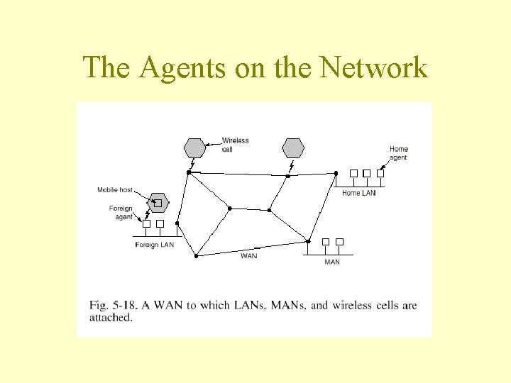 The Agents on the Network The Agents on the Network