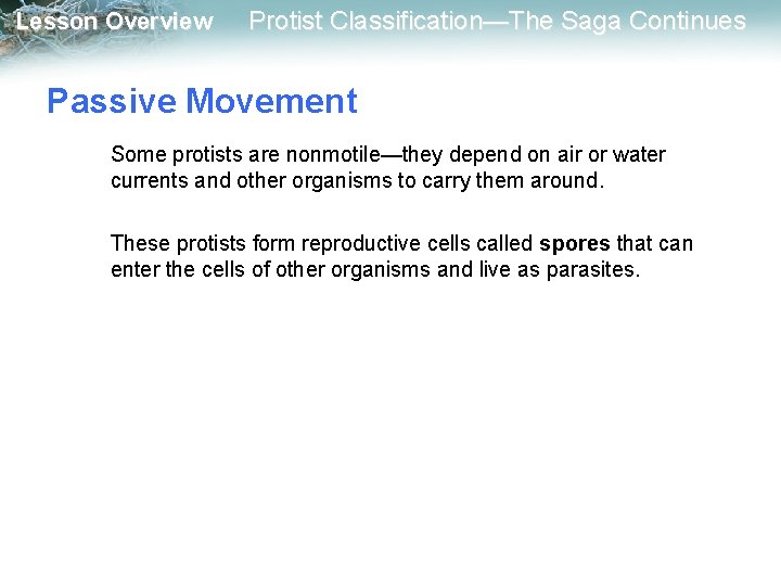 Lesson Overview Protist Classification—The Saga Continues Passive Movement Some protists are nonmotile—they depend on