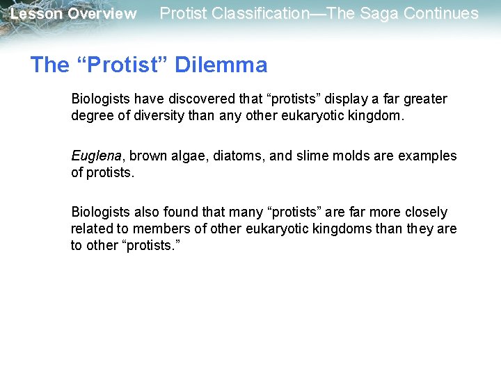 Lesson Overview Protist Classification—The Saga Continues The “Protist” Dilemma Biologists have discovered that “protists”