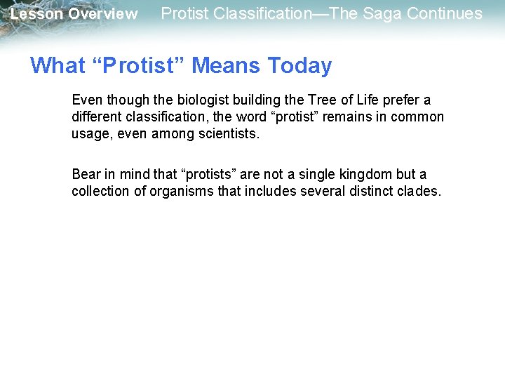 Lesson Overview Protist Classification—The Saga Continues What “Protist” Means Today Even though the biologist