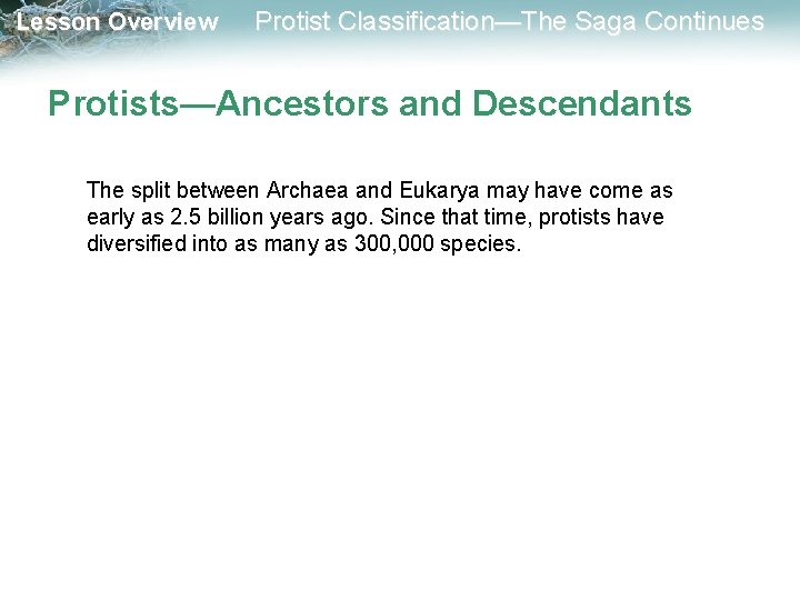 Lesson Overview Protist Classification—The Saga Continues Protists—Ancestors and Descendants The split between Archaea and