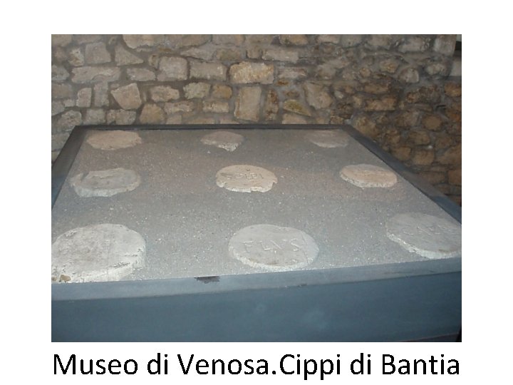 Museo di Venosa. Cippi di Bantia 