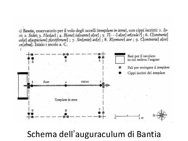 Schema dell’auguraculum di Bantia 