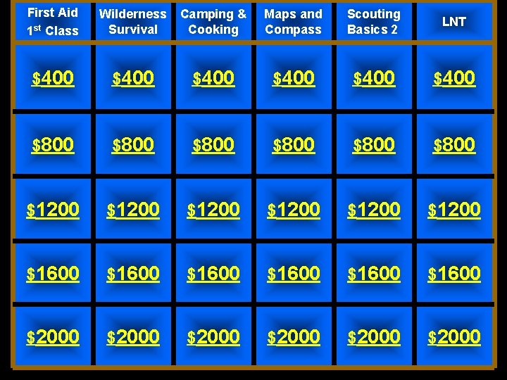 First Aid 1 st Class Wilderness Survival Camping & Cooking Maps and Compass Scouting