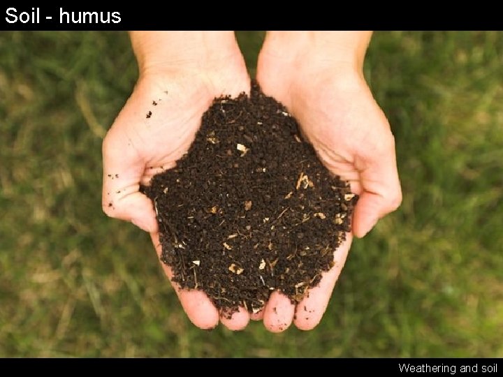 Soil - humus Weathering and soil 