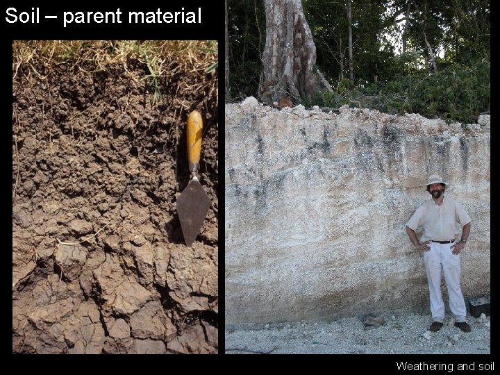 Soil – parent material Weathering and soil 