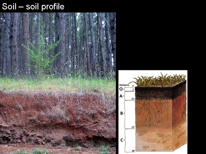 Soil – soil profile 