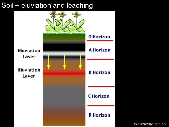 Soil – eluviation and leaching Weathering and soil 