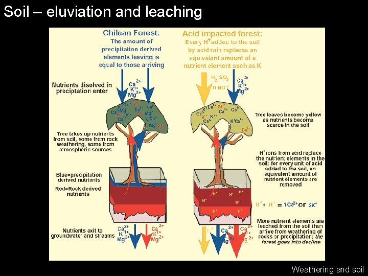 Soil – eluviation and leaching Weathering and soil 