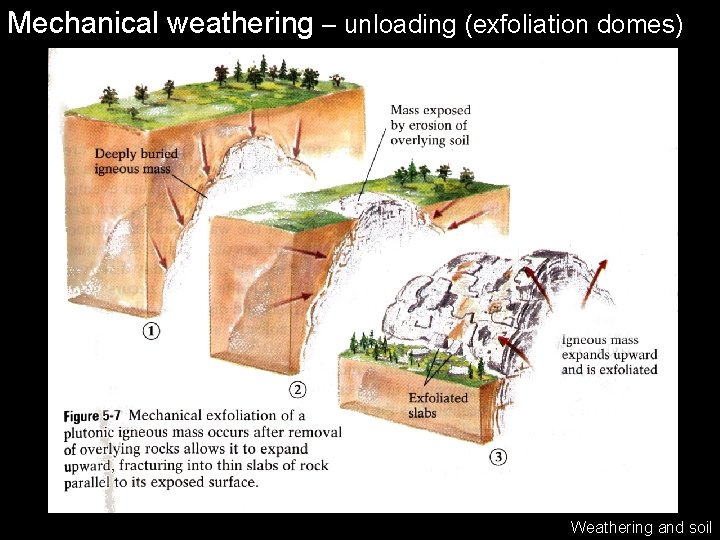 Mechanical weathering – unloading (exfoliation domes) Weathering and soil 