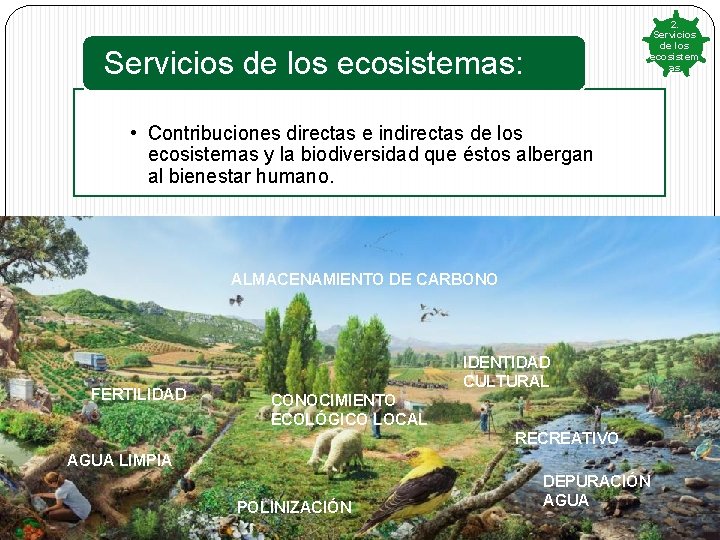 2. Servicios de los ecosistem as Servicios de los ecosistemas: • Contribuciones directas e 2. Servicios de los ecosistem as Servicios de los ecosistemas: • Contribuciones directas e