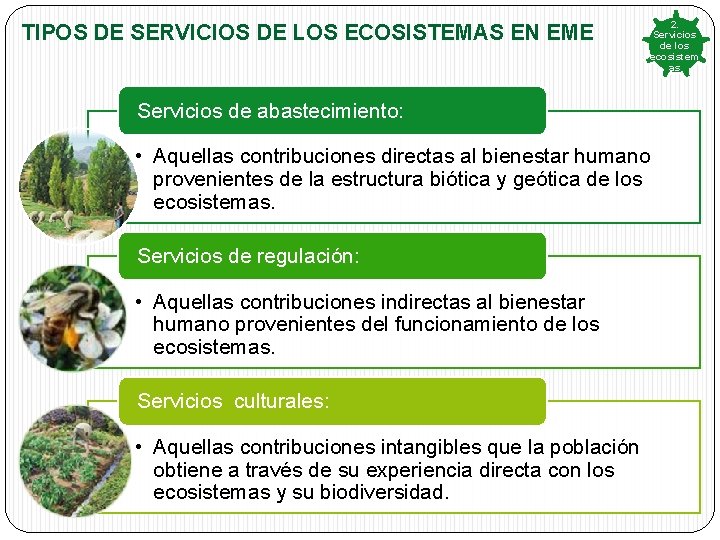 TIPOS DE SERVICIOS DE LOS ECOSISTEMAS EN EME 2. Servicios de los ecosistem as TIPOS DE SERVICIOS DE LOS ECOSISTEMAS EN EME 2. Servicios de los ecosistem as