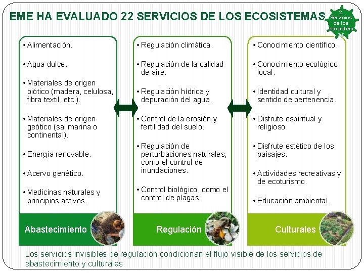 EME HA EVALUADO 22 SERVICIOS DE LOS ECOSISTEMAS 2. Servicios de los ecosistem as EME HA EVALUADO 22 SERVICIOS DE LOS ECOSISTEMAS 2. Servicios de los ecosistem as