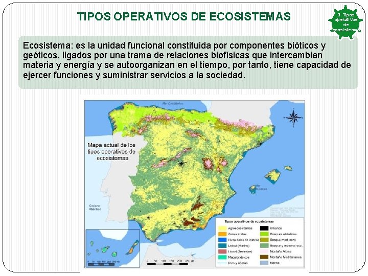 TIPOS OPERATIVOS DE ECOSISTEMAS 3. Tipos operativos de ecosistemas Ecosistema: es la unidad funcional TIPOS OPERATIVOS DE ECOSISTEMAS 3. Tipos operativos de ecosistemas Ecosistema: es la unidad funcional