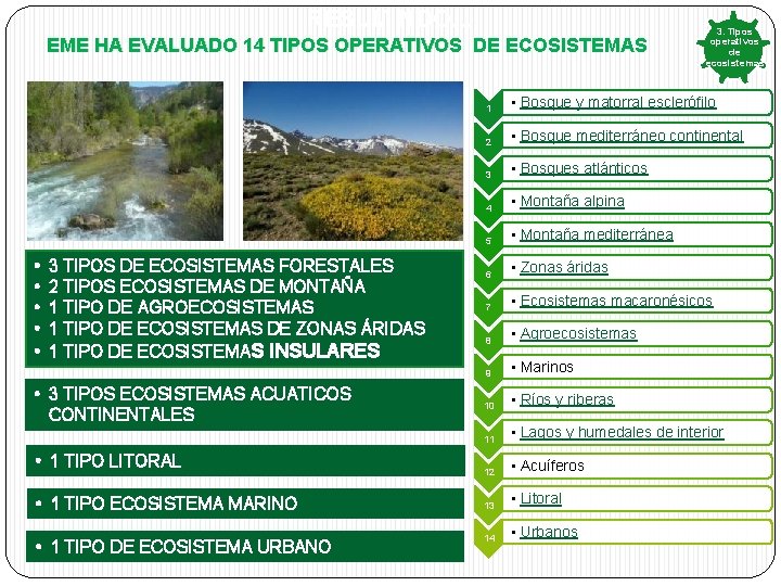 RESUM NDO… EME HA EVALUADO 14 TIPOS OPERATIVOS DE ECOSISTEMAS • • • 3 RESUM NDO… EME HA EVALUADO 14 TIPOS OPERATIVOS DE ECOSISTEMAS • • • 3