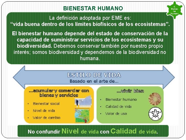 BIENESTAR HUMANO La definición adoptada por EME es: “vida buena dentro de los límites BIENESTAR HUMANO La definición adoptada por EME es: “vida buena dentro de los límites