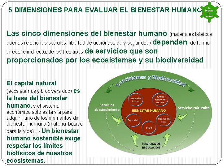 5 DIMENSIONES PARA EVALUAR EL BIENESTAR HUMANO 5. Bienestar Humano Las cinco dimensiones del 5 DIMENSIONES PARA EVALUAR EL BIENESTAR HUMANO 5. Bienestar Humano Las cinco dimensiones del