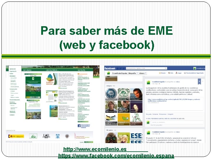 Para saber más de EME (web y facebook) http: //www. ecomilenio. es https: //www. Para saber más de EME (web y facebook) http: //www. ecomilenio. es https: //www.