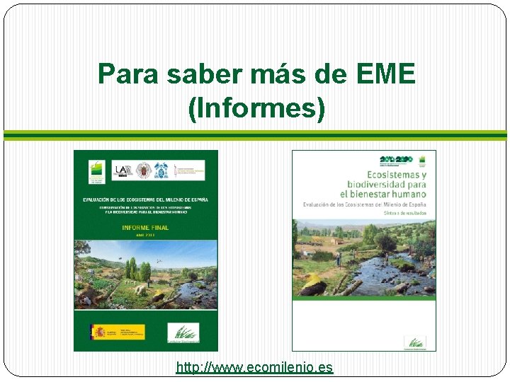 Para saber más de EME (Informes) http: //www. ecomilenio. es Para saber más de EME (Informes) http: //www. ecomilenio. es