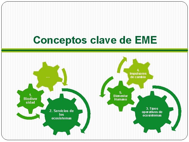 Conceptos clave de EME 4. Impulsores de cambio … 5. Bienestar Humano 1. Biodiver Conceptos clave de EME 4. Impulsores de cambio … 5. Bienestar Humano 1. Biodiver