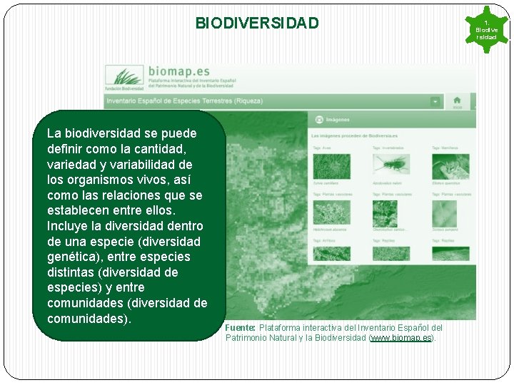 BIODIVERSIDAD La biodiversidad se puede definir como la cantidad, variedad y variabilidad de los BIODIVERSIDAD La biodiversidad se puede definir como la cantidad, variedad y variabilidad de los