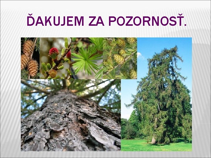 ĎAKUJEM ZA POZORNOSŤ. ĎAKUJEM ZA POZORNOSŤ.