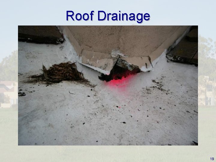 Roof Drainage 19 