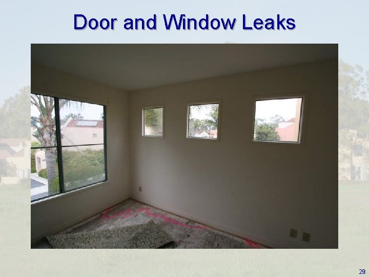 Door and Window Leaks 29 