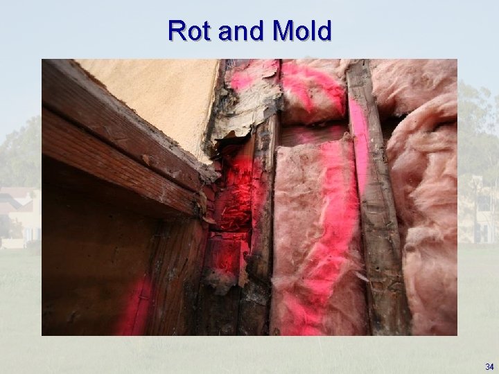 Rot and Mold 34 