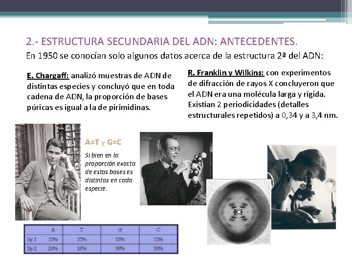 2. - ESTRUCTURA SECUNDARIA DEL ADN: ANTECEDENTES. En 1950 se conocían solo algunos datos