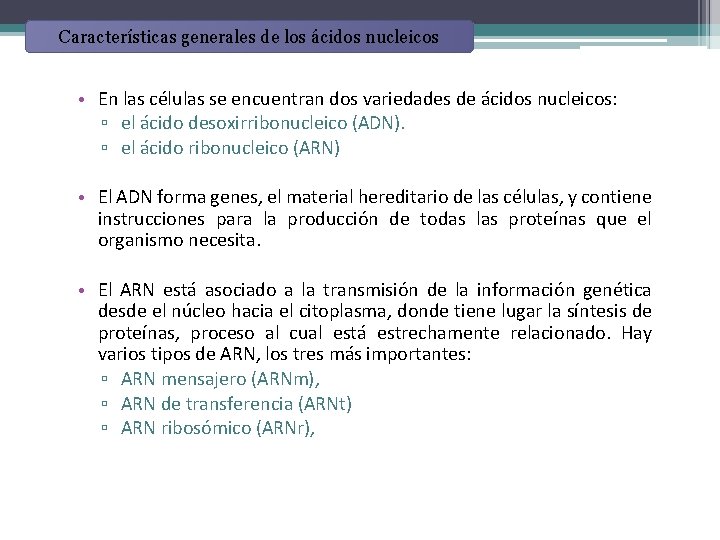 Características generales de los ácidos nucleicos • En las células se encuentran dos variedades