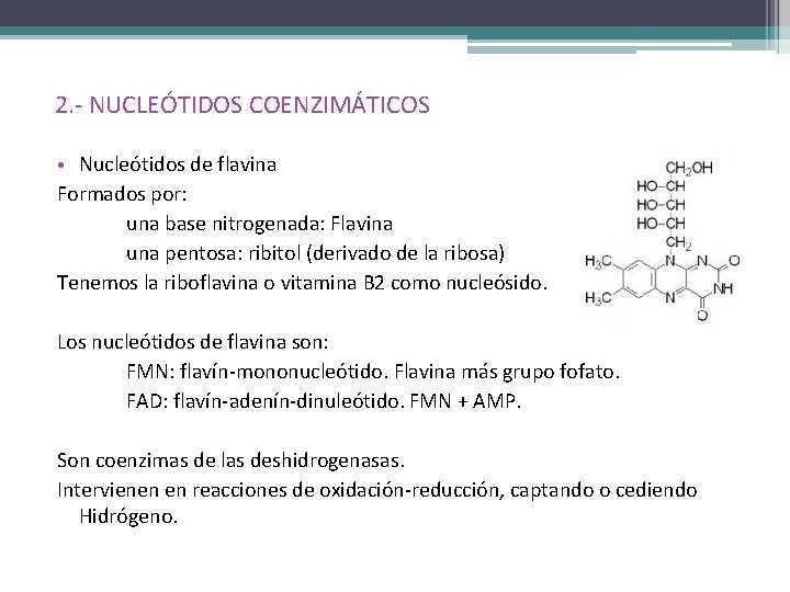 2. - NUCLEÓTIDOS COENZIMÁTICOS • Nucleótidos de flavina Formados por: una base nitrogenada: Flavina