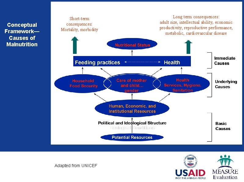 Conceptual Framework— Causes of Malnutrition Short-term consequences: Mortality, morbidity Adapted from UNICEF Long term