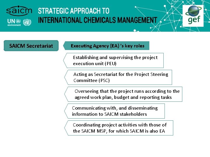 SAICM Secretariat Executing Agency (EA) ’s key roles Establishing and supervising the project execution SAICM Secretariat Executing Agency (EA) ’s key roles Establishing and supervising the project execution
