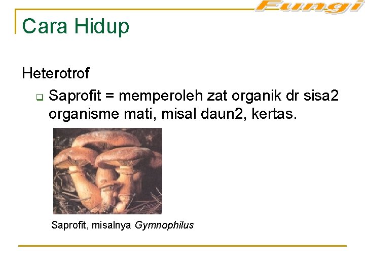 Cara Hidup Heterotrof q Saprofit = memperoleh zat organik dr sisa 2 organisme mati,