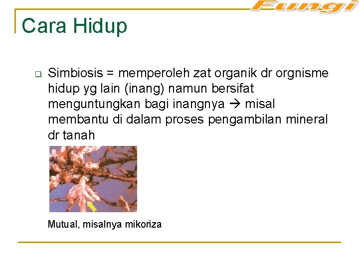 Cara Hidup q Simbiosis = memperoleh zat organik dr orgnisme hidup yg lain (inang)