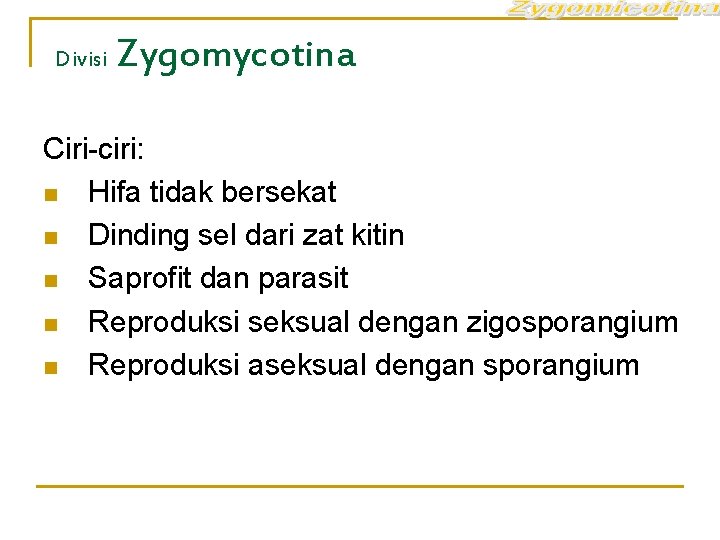 Divisi Zygomycotina Ciri-ciri: n Hifa tidak bersekat n Dinding sel dari zat kitin n