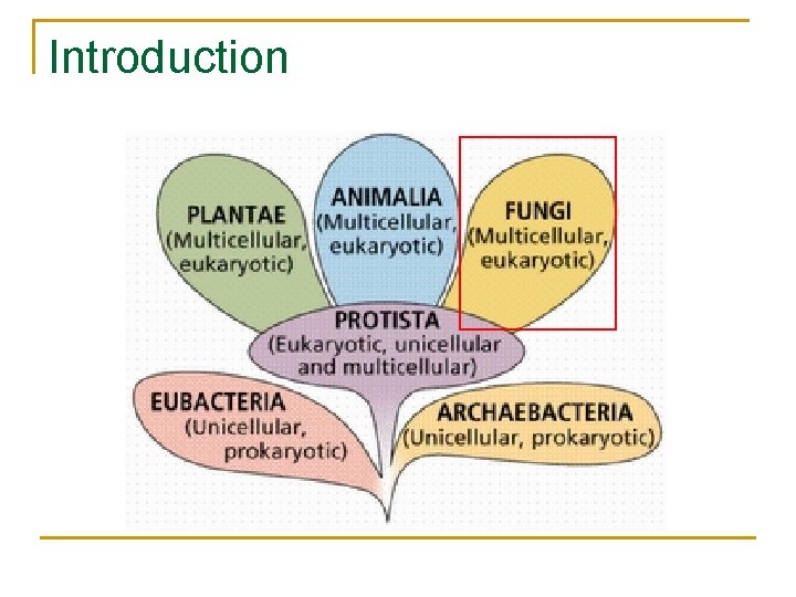 Introduction 