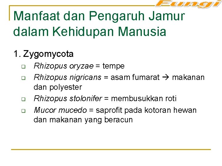 Manfaat dan Pengaruh Jamur dalam Kehidupan Manusia 1. Zygomycota q q Rhizopus oryzae =