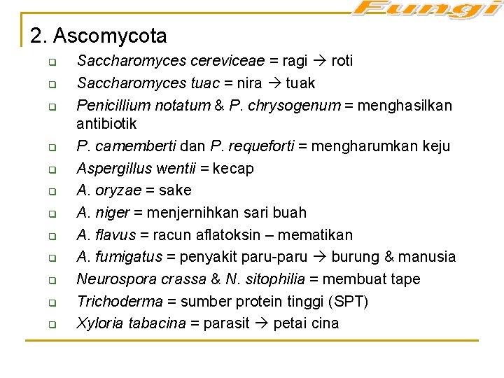 2. Ascomycota q q q Saccharomyces cereviceae = ragi roti Saccharomyces tuac = nira