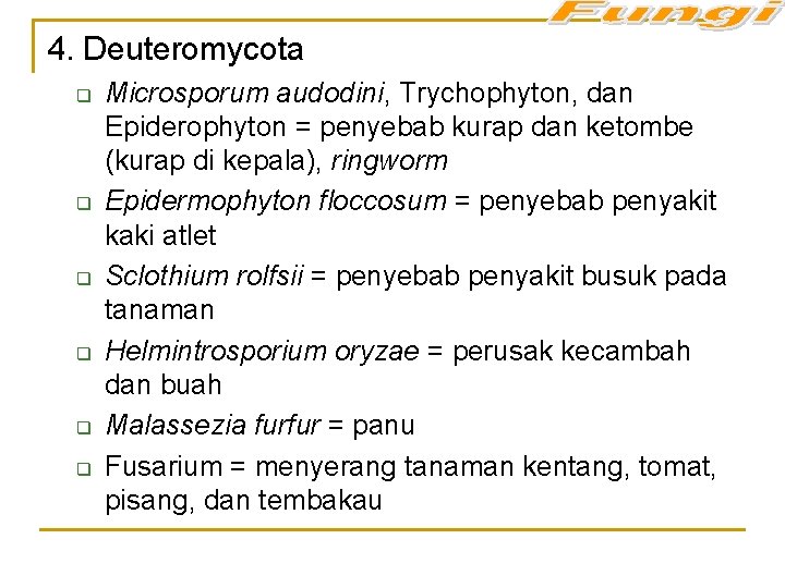 4. Deuteromycota q q q Microsporum audodini, Trychophyton, dan Epiderophyton = penyebab kurap dan