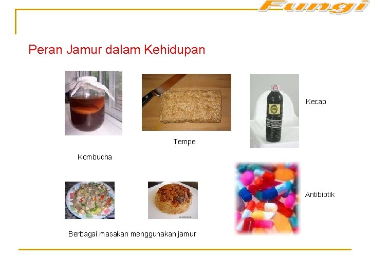 Peran Jamur dalam Kehidupan Kecap Tempe Kombucha Antibiotik Berbagai masakan menggunakan jamur 