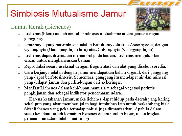 Simbiosis Mutualisme Jamur Lumut Kerak (Lichenes) q q q Lichenes (liken) adalah contoh simbiosis