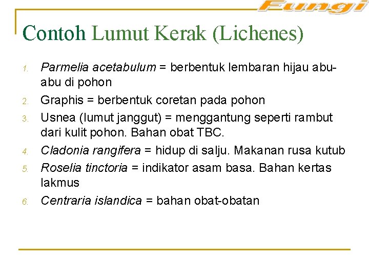 Contoh Lumut Kerak (Lichenes) 1. 2. 3. 4. 5. 6. Parmelia acetabulum = berbentuk