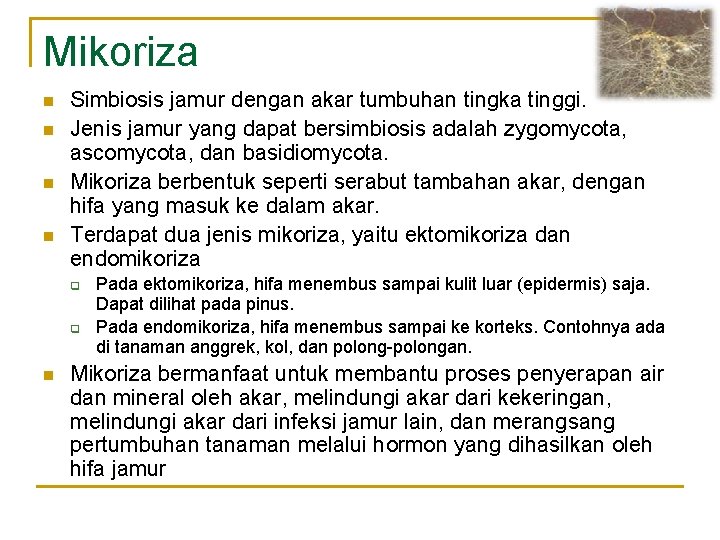 Mikoriza n n Simbiosis jamur dengan akar tumbuhan tingka tinggi. Jenis jamur yang dapat