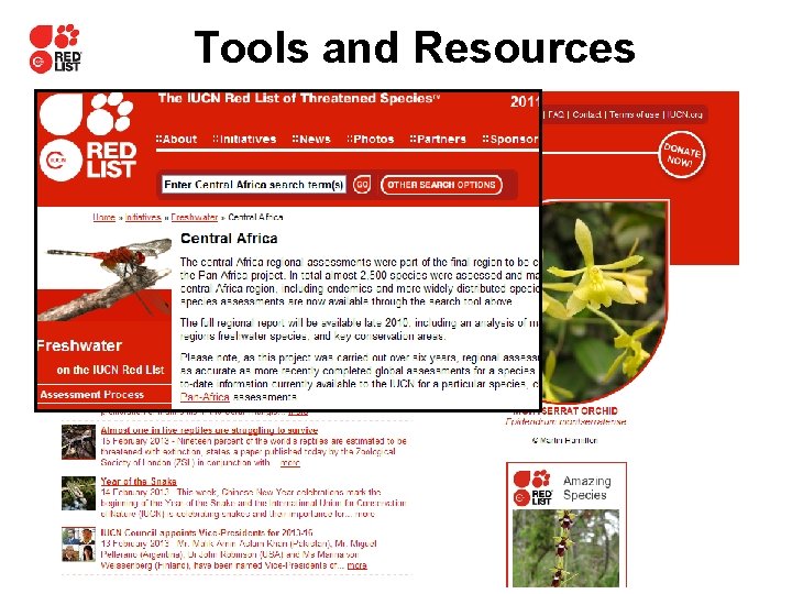 Tools and Resources 