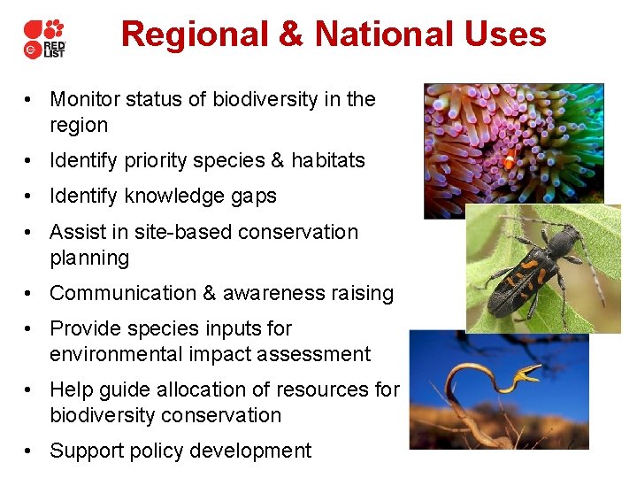 Regional & National Uses • Monitor status of biodiversity in the region • Identify