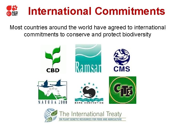 International Commitments Most countries around the world have agreed to international commitments to conserve