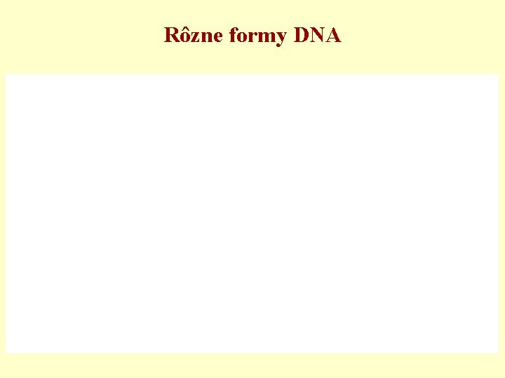 Rôzne formy DNA 